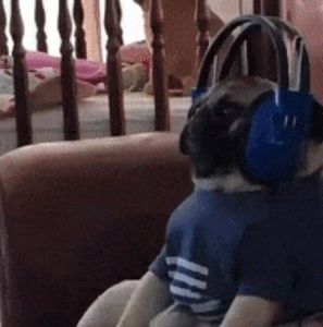 Meet your Posher, Harry